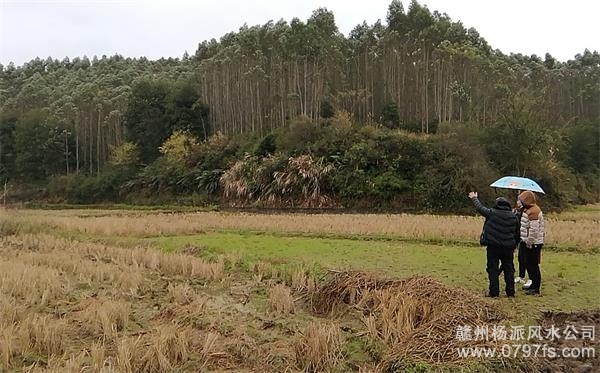 克拉玛依市陈老师带着爱徒寻龙点穴